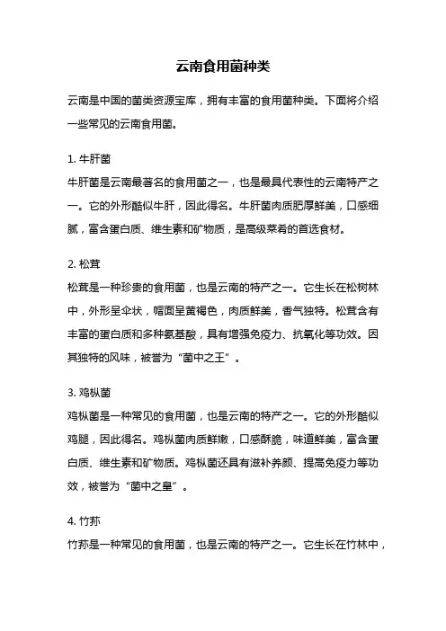 云南食用菌种类