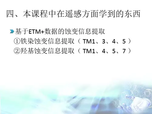 遥感蚀变信息提取