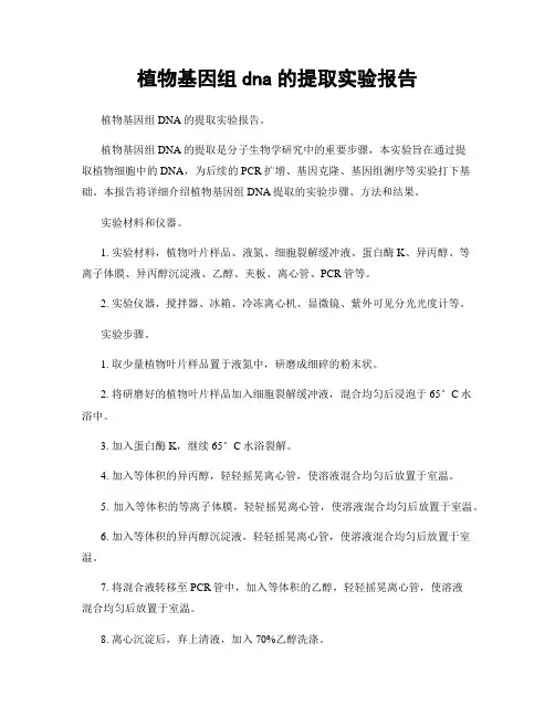 植物基因组dna的提取实验报告