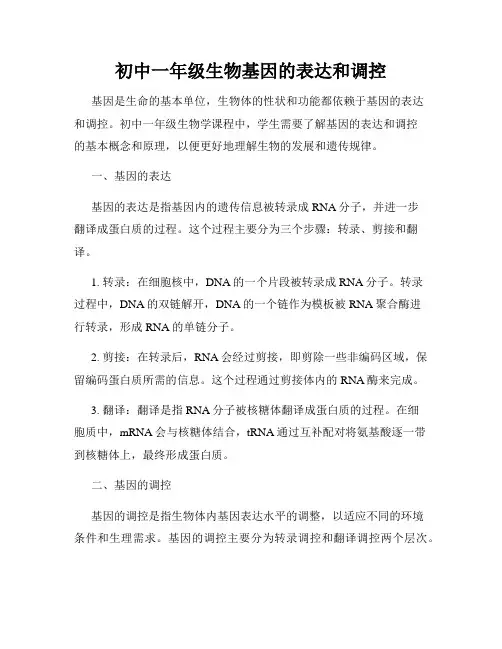 初中一年级生物基因的表达和调控