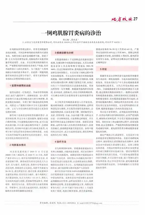 一例鸡肌腺胃炎病的诊治