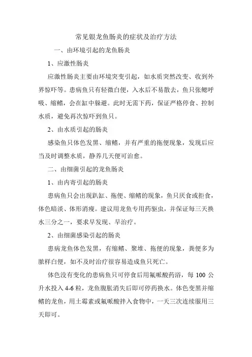 常见银龙鱼肠炎的症状及治疗方法