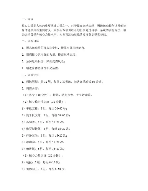 核心专项训练计划方案