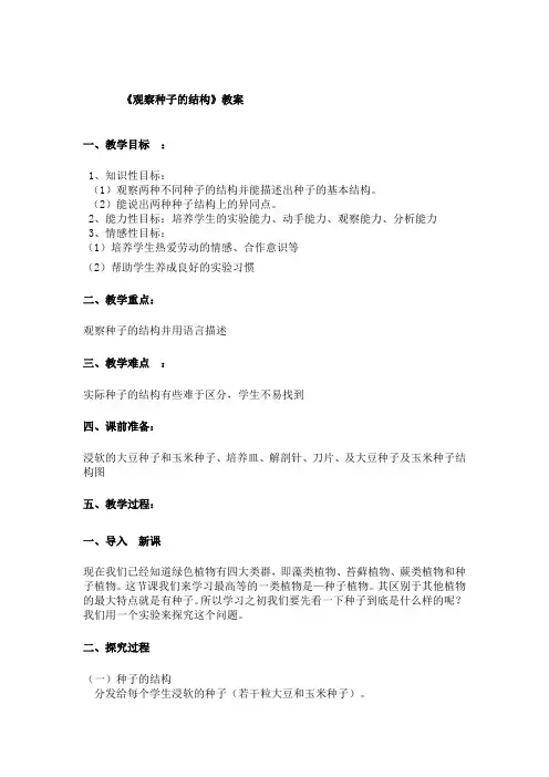 《观察种子的结构》教案