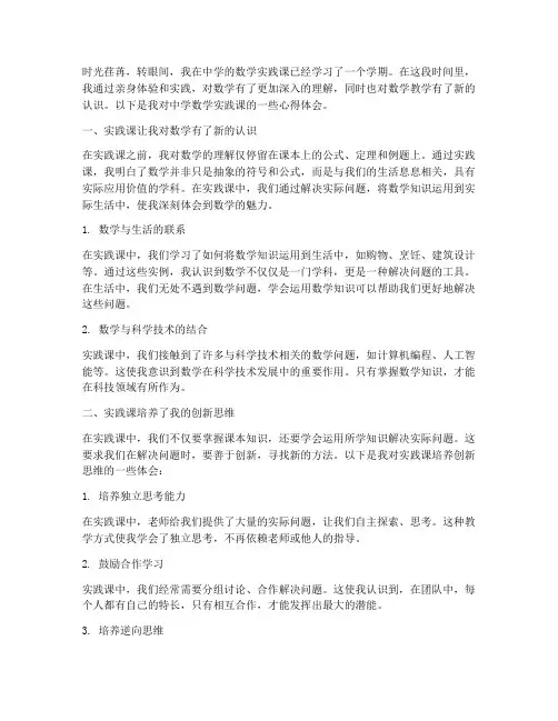 中学数学实践课心得体会