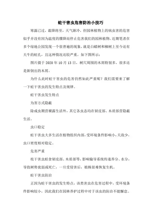蛀干害虫危害防治小技巧