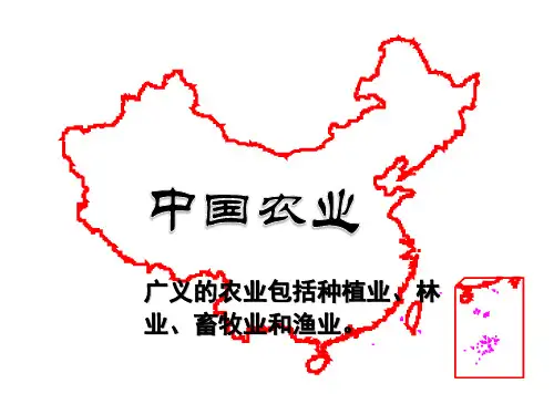 高中地理-中国的农业