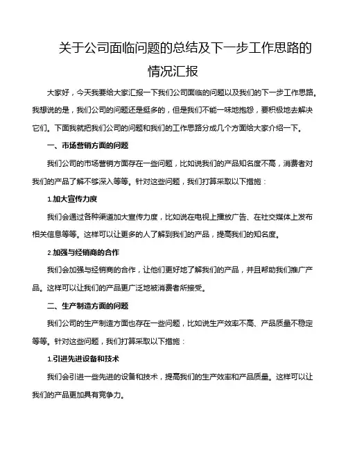 关于公司面临问题的总结及下一步工作思路的情况汇报