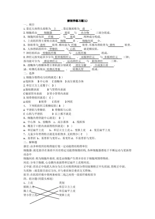 运动解剖学练习题