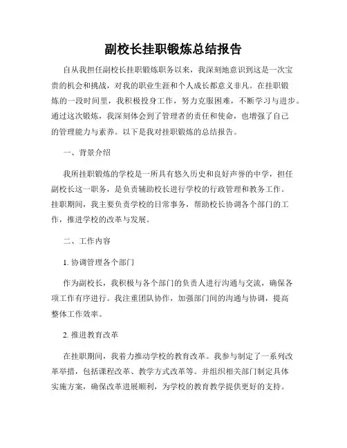 副校长挂职锻炼总结报告