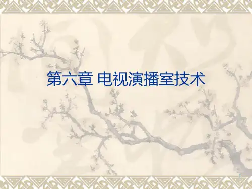 第六章电视演播室PPT课件
