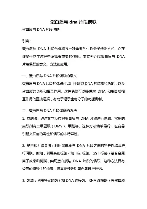 蛋白质与dna片段偶联