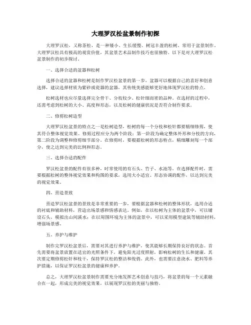 大理罗汉松盆景制作初探