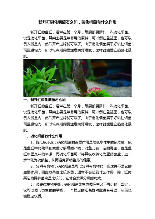 新开缸硝化细菌怎么加，硝化细菌有什么作用