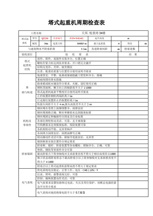 周期检查记录表