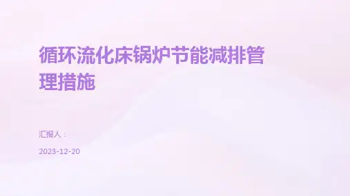 循环流化床锅炉节能减排管理措施