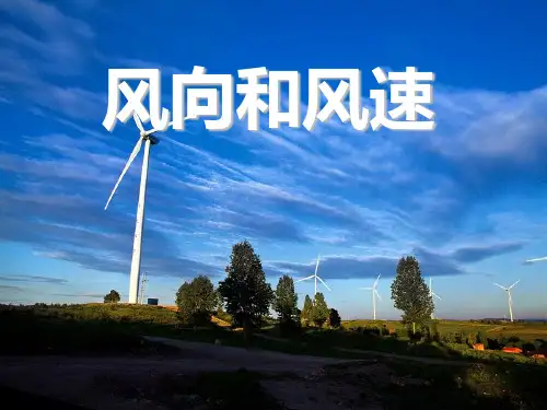 小学四年级上册科学 《风向和风速》天气PPT优秀课件