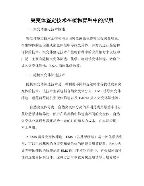 突变体鉴定技术在植物育种中的应用