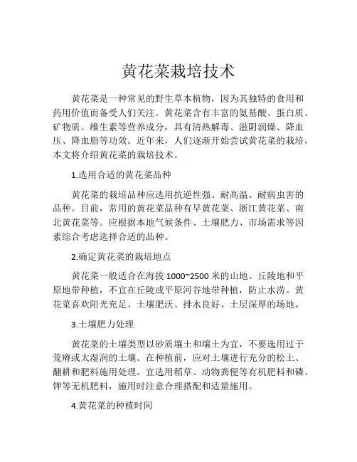 黄花菜栽培技术