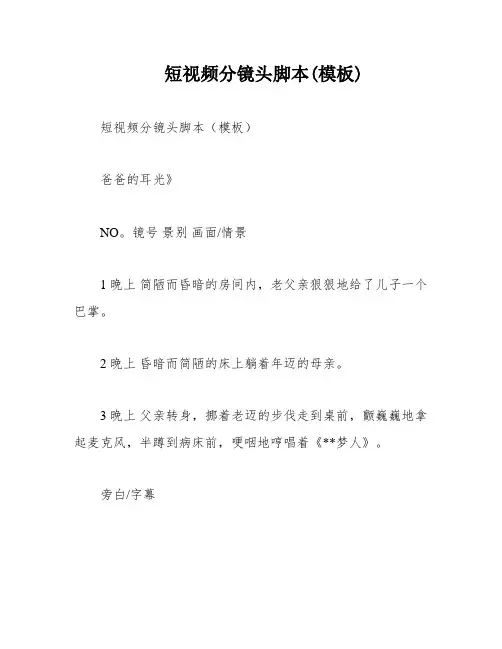 短视频分镜头脚本(模板)