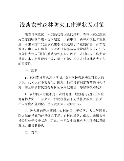 浅谈农村森林防火工作现状及对策