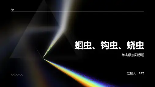 《蛔虫钩虫蛲虫》课件