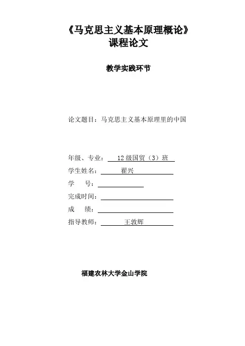 马概论文 马克思主义基本原理里的中国