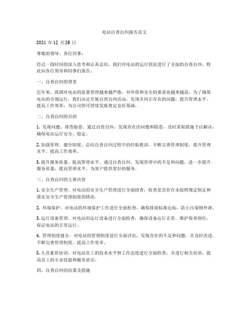 电站自查自纠报告范文