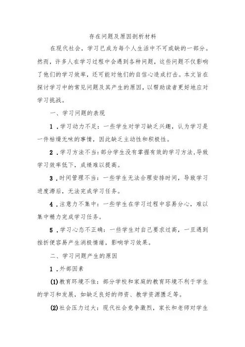 存在问题及原因剖析材料