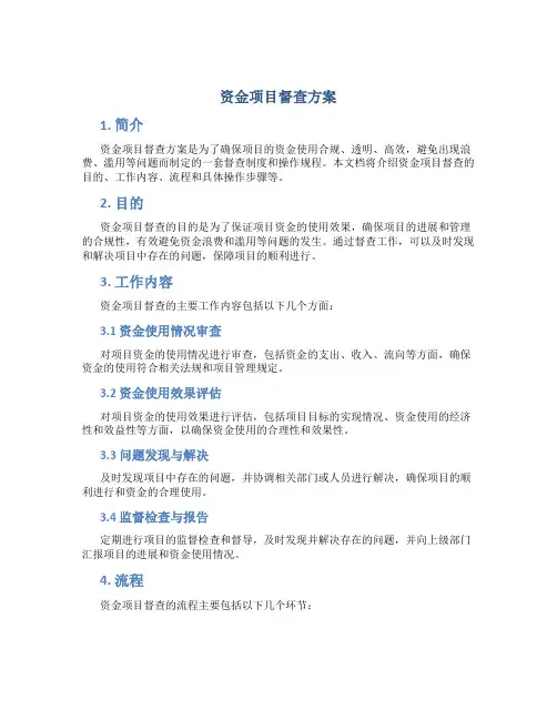 资金项目督查方案
