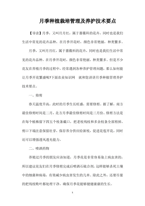 月季种植栽培管理及养护技术要点