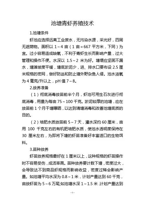 池塘青虾养殖技术