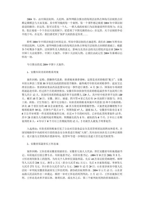 04年十大案件