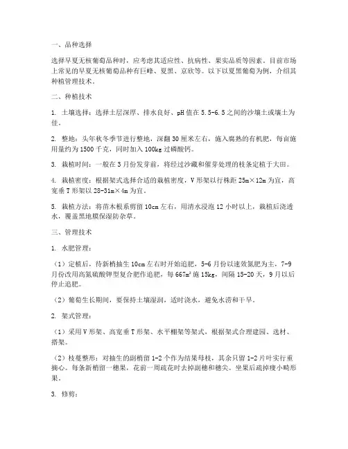 早夏无核葡萄种植管理技术