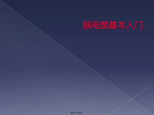 脑电图基本入门