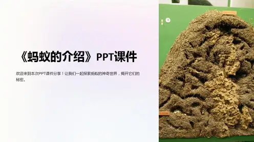 《蚂蚁的介绍》课件