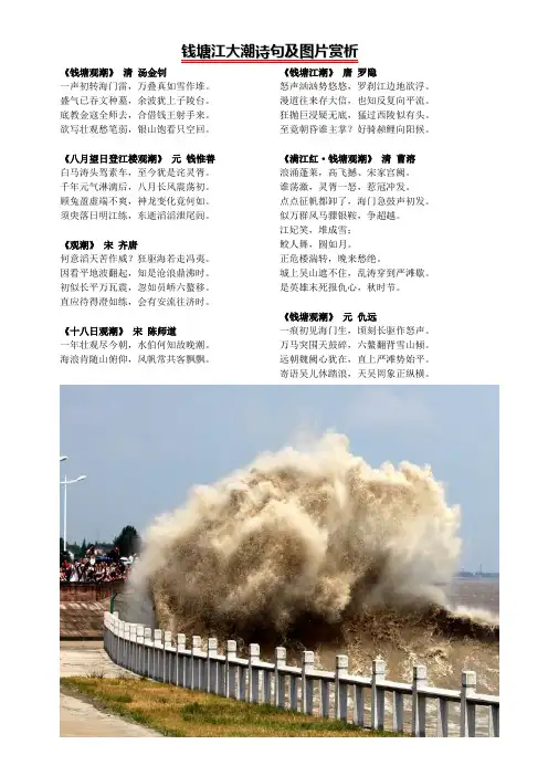 钱塘江大潮诗句及图片赏析