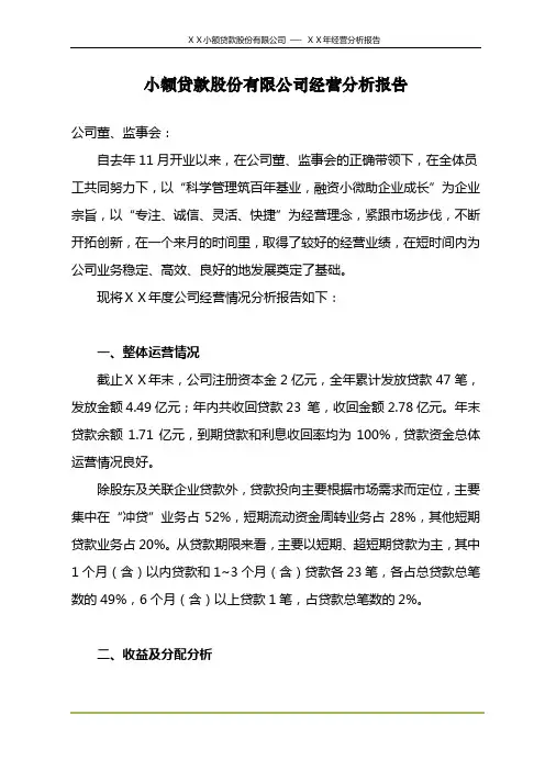 小额贷款股份有限公司年度经营分析报告