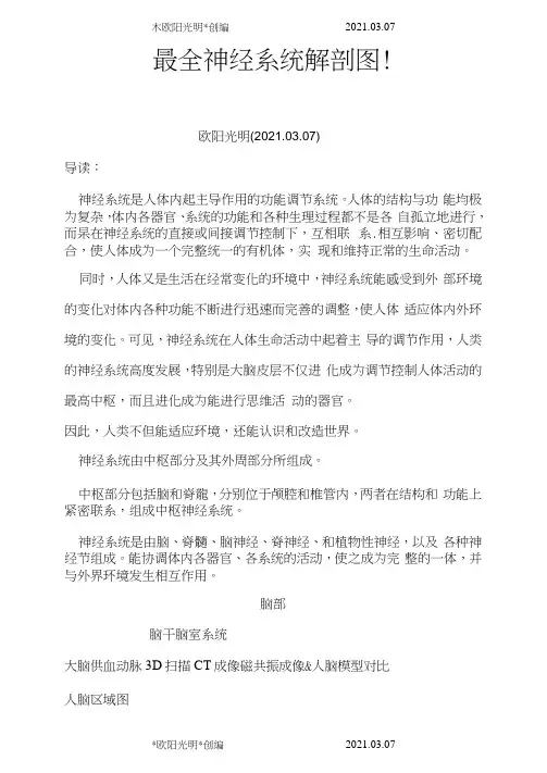 2021年最全神经系统解剖图