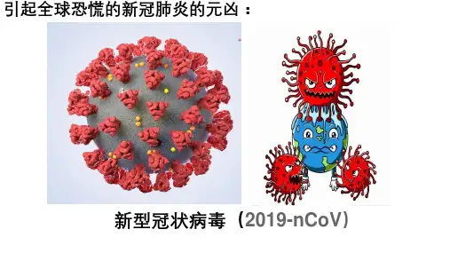 趣味生物(病毒 )(课件)小学科学趣味生物课外拓展通用版