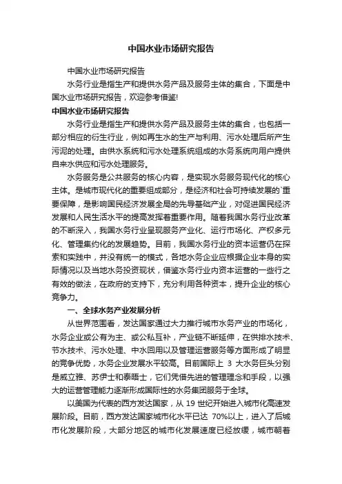 中国水业市场研究报告