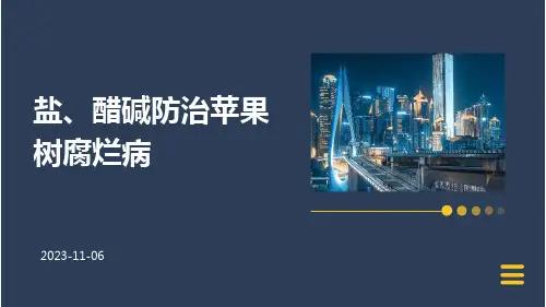 盐、醋碱防治苹果树腐烂病