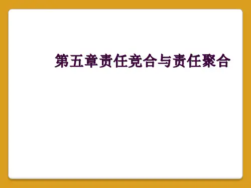 第五章责任竞合与责任聚合