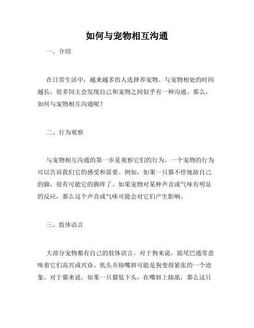 如何与宠物相互沟通