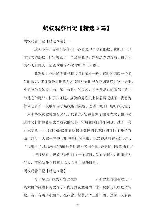 蚂蚁观察日记【3篇】