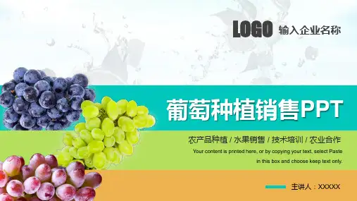 葡萄的种植于销售ppt模板