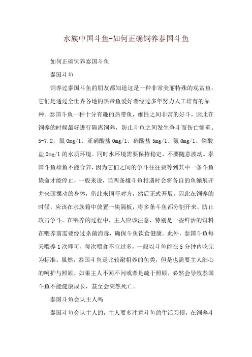 水族中国斗鱼-如何正确饲养泰国斗鱼