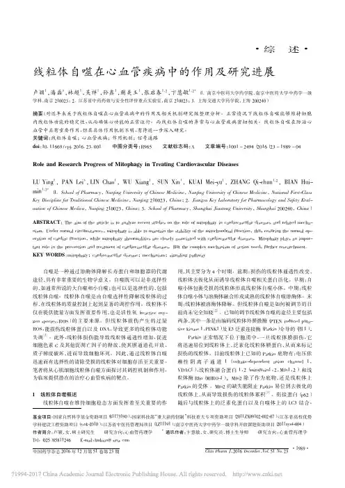 10-线粒体自噬在心血管疾病中的作用及研究进展_卢颖