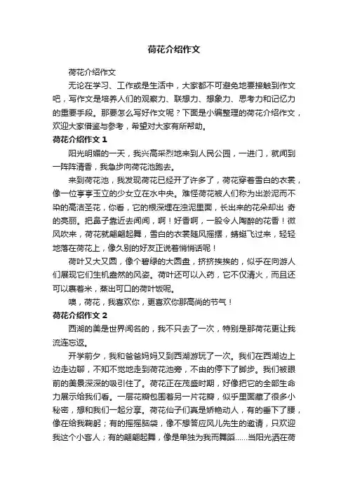 荷花介绍作文