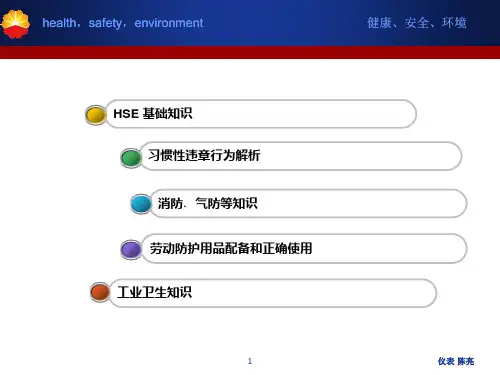 HSEPPT课件